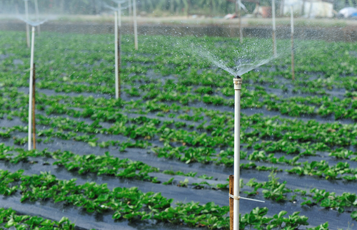 Farm Irrigation Systems