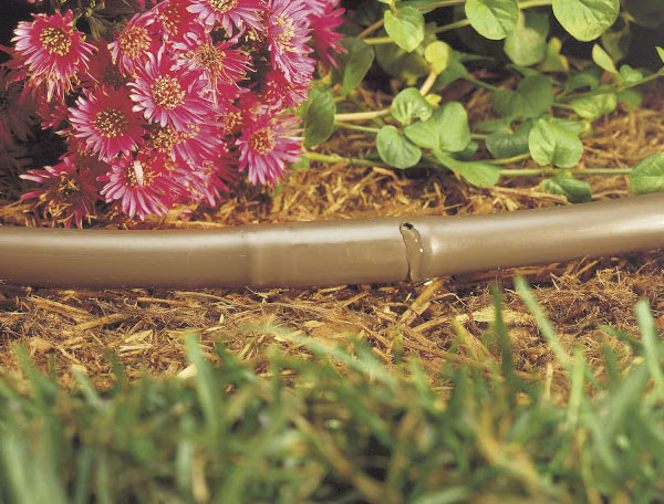 Installing Your Own Drip Irrigation System