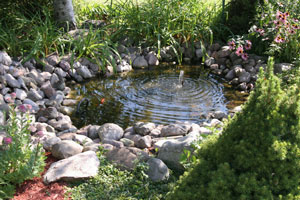 Small Residential Pond