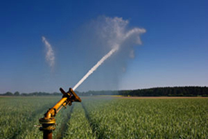 traveler irrigation system