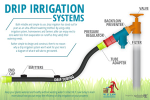 Infographic about Drip Irrigation Systems