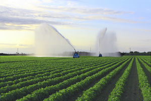 agricultural irrigation systems