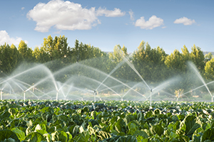 Agricultural-Irrigation-and-Crops