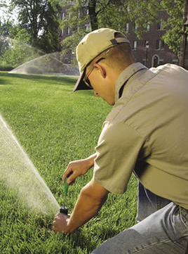 The 3 Best Things About Professional Irrigation System Installation