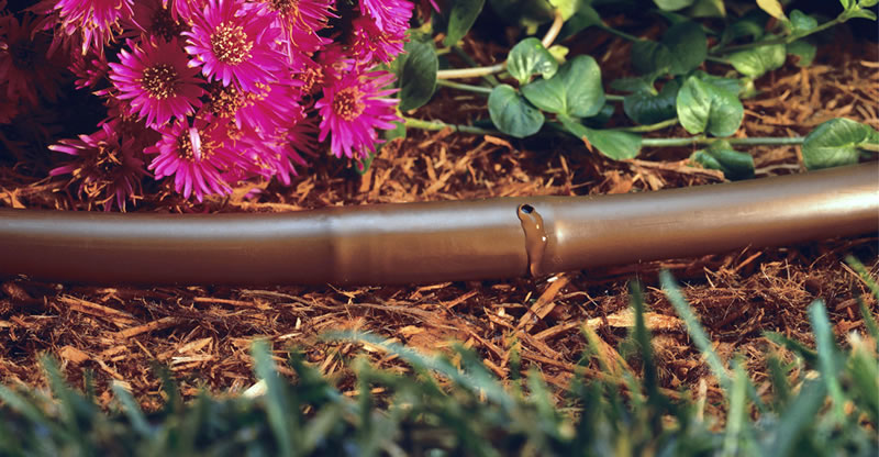 4 Drip Line Irrigation Mistakes You Don't Know You're Making