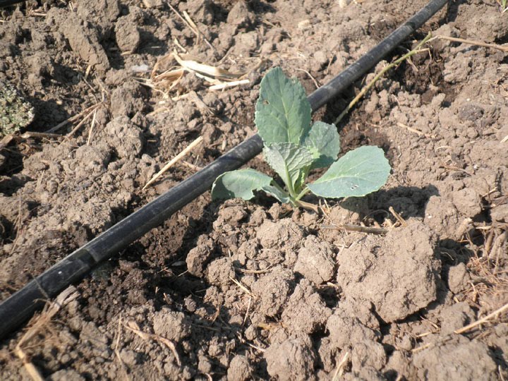 The Happy Farmer's Guide to Drip Irrigation Products