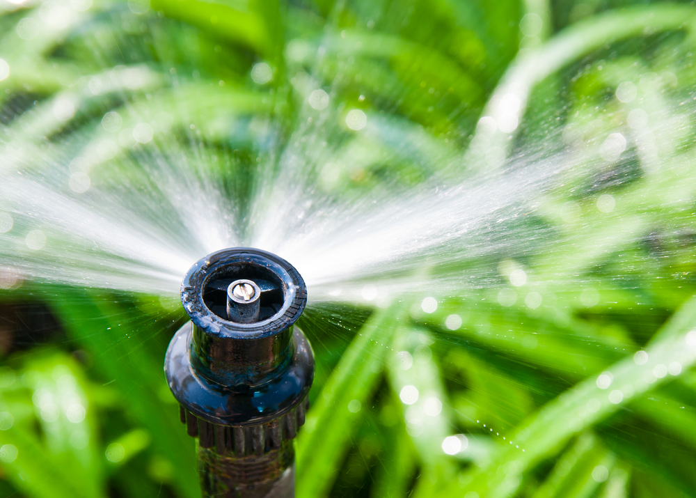 3 Things Landscape Professionals Will Tell You about Landscape Irrigation