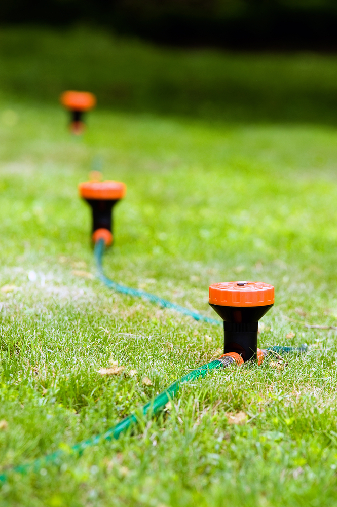How to Choose the Right Watering System for Your Landscaping