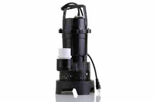 A submersible pump