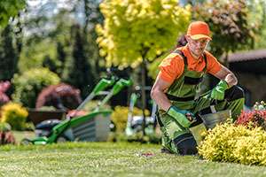 The Big Differences Between a Do it Yourself-er and a Landscape Professional