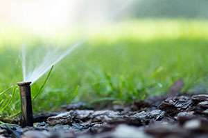 How Long Should I Keep My Irrigation System Running into the Fall?