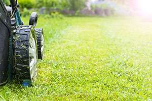 How to Keep Your Lawn Greener This Spring
