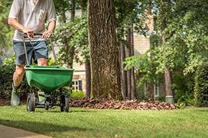 3 Costly Fertilizer Mistakes Damaging Your Lawn