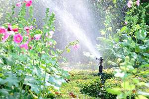 4 Essential Steps to Raise Your Sprinkler Heads