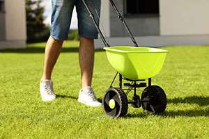 Beginner’s Guide to Lawn Fertilizer and Chemical Treatments