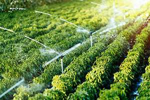 The Modern Way to Conserve Water with Agricultural Irrigation