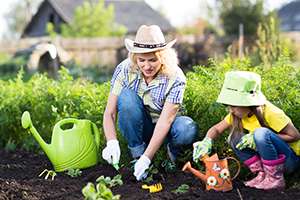 4 Easy Solutions to Protect Your Garden from Pests