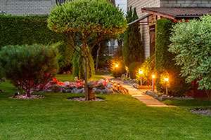 2 Eye-Catching Landscaping Tips That Will Transform Your Yard