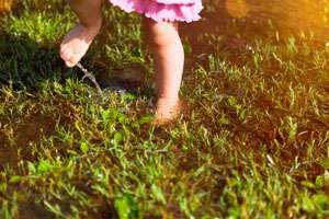 3 Signs Your Irrigation System Has a Leak  