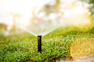 What Is the Difference Between Drip Irrigation & Sprinkler Systems?