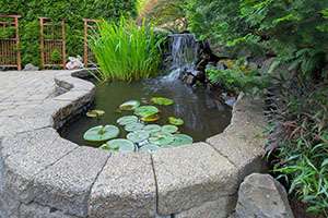 3 Ways to Keep Your Water Feature Mosquito Free