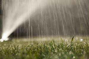 5 Tips for an Effortless Irrigation System  