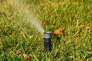 More Reasons to Irrigate Your Lawn During the Winter