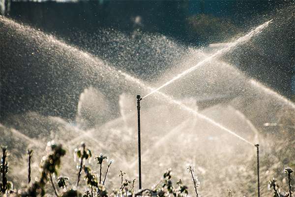 2 Benefits to Irrigating Before a Cold Snap