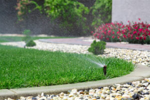 Sprinkler System, Irrigation System