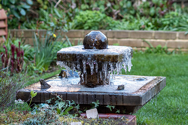 winterize my water feature
